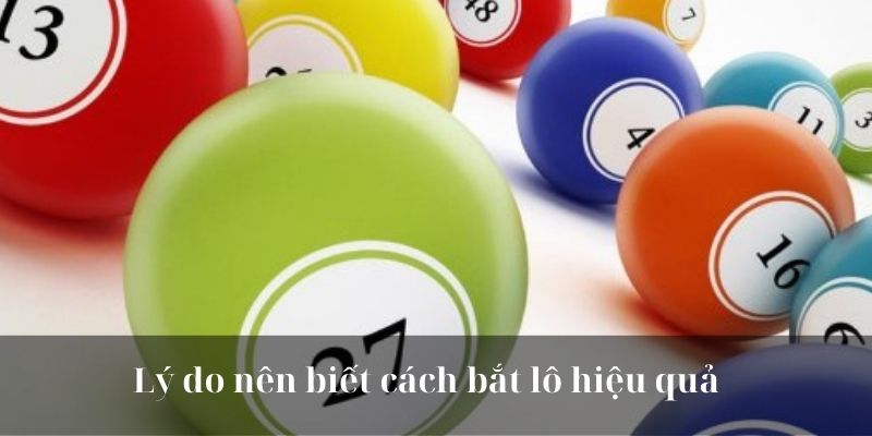 Lý do nên biết cách bắt lô hiệu quả