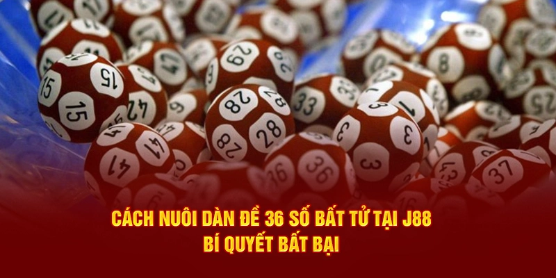 Cách nuôi dàn đề 36 số bất tử không nên bỏ lỡ