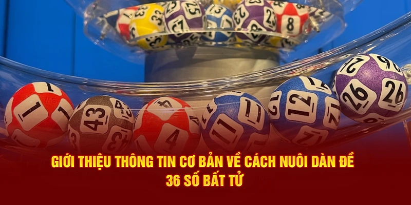 Giới thiệu thông tin cơ bản về cách nuôi dàn đề 36 số bất tử