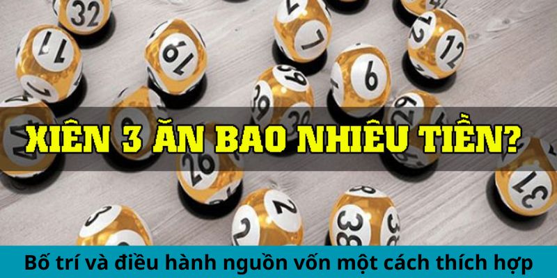 Bố trí và điều hành nguồn vốn một cách thích hợp